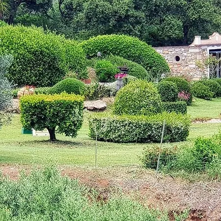 C'era Volta Tatil Evi