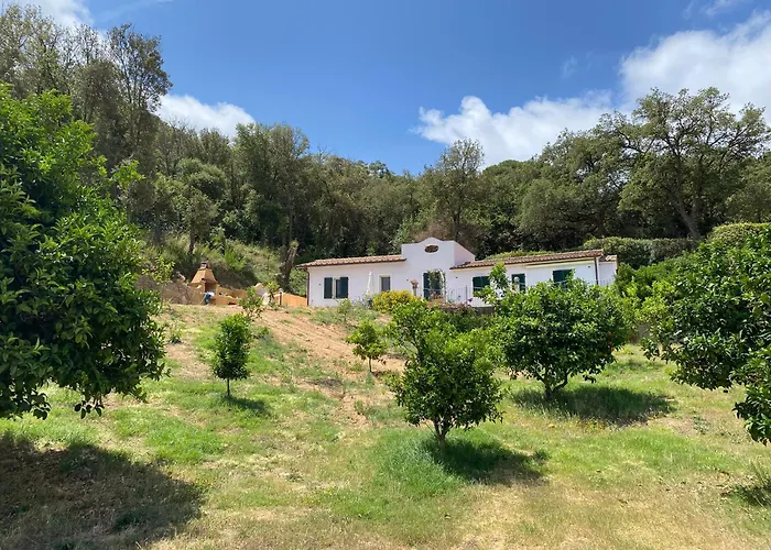 Vakantiehuis C'era Volta